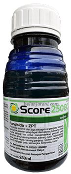 Tanaman Pertanian,Petani,Pertanian,Pestisida,Jamur