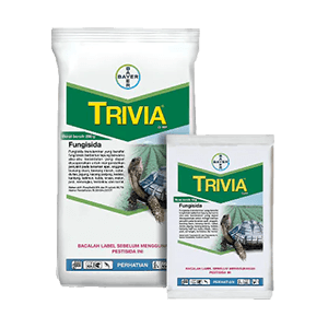 Tanaman Cabe,Pertanian,Fungisida,Pestisida,Petani