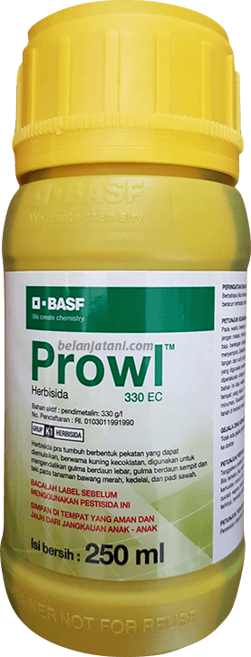 Pertanian,Pestisida,Sayuran,Lahan Pertanian,Petani