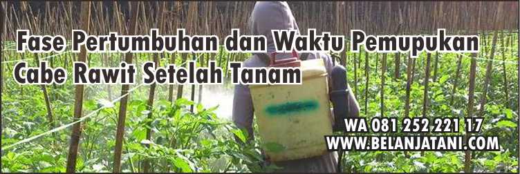 Menyediakan Pupuk Untuk Tanaman Cabe Rawit Harga Murah Kualitas Terbaik Di Belanja Tani Waktu Pemupukan Cabe Rawit Setelah Tanam,Tanaman Cabe,Pertanian,Pupuk,Cabe Rawit
