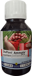 Jual Insektisida Ammate 150 EC Harga Murah Kualitas Terbaik Di Belannja Tani Tanaman Cabe,Pertanian,Pestisida,Petani,Hama