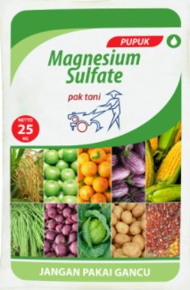 Tanaman,Klorofil,Petani,Panen,Subur