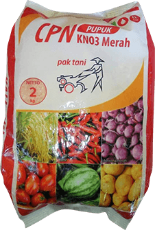 Pupuk Majemuk,Petani,Pupuk Cabe,Lahan Pertanian,Peluang Usaha