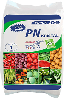 Pupuk Majemuk,Petani,Pupuk Cabe,Lahan Pertanian,Peluang Usaha