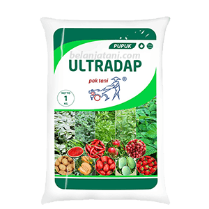 Tanaman,Klorofil,Petani,Panen,Subur