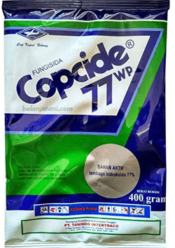 Mentimun,Jamur,Penyakit Layu,Panen,Petani