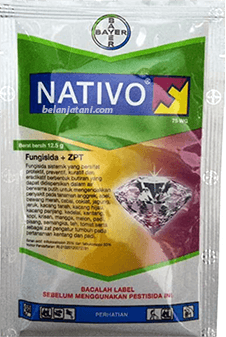 Pestisida,Layu Fusarium,Jamur,Bakterisida,Perekat Pestisida