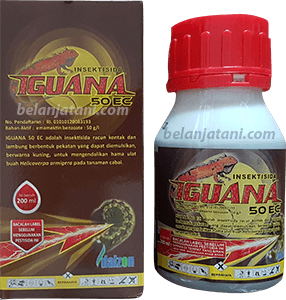 Menyediakan Insektisida Iguana 50 EC Harga Murah Kualitas Terbaik | Belanja Tani Pestisida,Ulat Tritip,Penyakit,Virus,Busuk Hitam