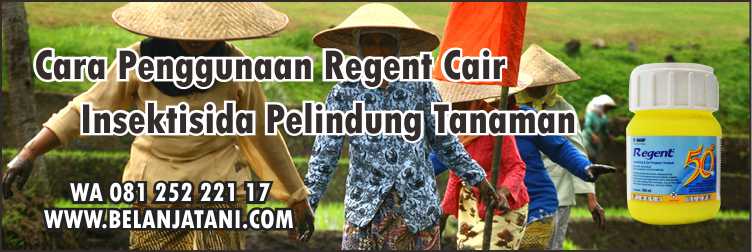 Cara Penggunaan Regent Cair,Insektisida,Pestisida,Pertanian,Hama Serangga