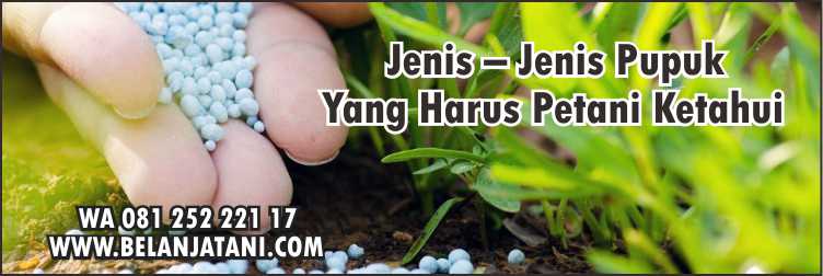 Toko Pupuk Pertanian Terdekat,Pupuk Buah, Pertanian,Pupuk Daun,Sayuran