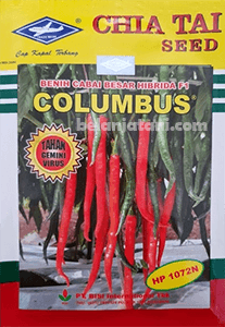 Menyediakan Benih Cabe Besar Hibrida Columbus F1 Dengan Harga Murah Kualitas Terbaik | Belanja Tani Peluang Bisnis, Benih Cabe,Pertanian,Sayuran,Benih Hibrida