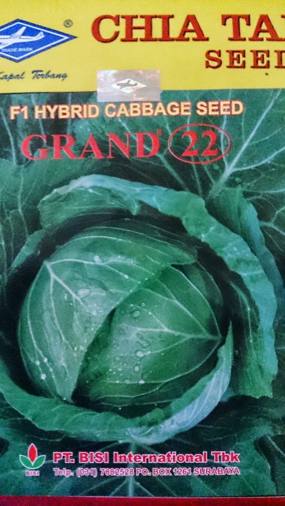 Benih Hibrida, Sayuran, Pertanian,Panen Melimpah,Sayur kol