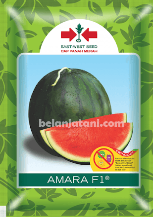 Benih Hibrida,Pertanian,Peluang Usaha,Budidaya Buah,Tanaman Buah Menguntungkan