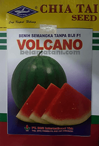 Menyediakan Bibit Semangka Non Biji Volcano F1 Terbaik Dengan Harga Murah Kualitas Terbaik | Belanja Tani Benih Hibrida,Pertanian,Peluang Usaha,Budidaya Buah,Tanaman Buah Menguntungkan