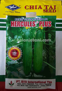 Menyediakan Bibit Timun Hercules Plus F1 Dengan Harga Murah Kualitas Terbaik | Belanja Tani Sayuran,Peluang Usaha,Benih Hibrida,Benih Mentimun,Benih Sayuran Hibrida