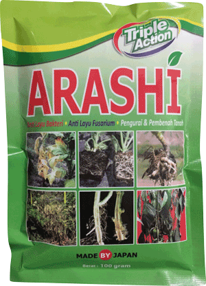 Jamur Cercospora,Fungisida,Cabe Layu,Pestisida,Obat Jamur