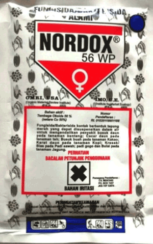Jamur Cercospora,Fungisida,Cabe Layu,Pestisida,Obat Jamur
