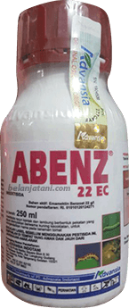 Pertanian,Tanaman Hortikultura,Pestisida,Hama,Petani