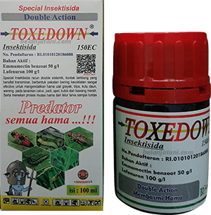 Pertanian,Tanaman Hortikultura,Pestisida,Hama,Petani