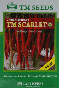 Menyediakan Bibit Cabe Merah TM Scarlet F1 Harga Mura Kualitas Terbaik | Belanja Tani Tanaman Cabai,Pembibitan Cabai,Penanaman Cabai,Musim Hujan,Benih Cabai