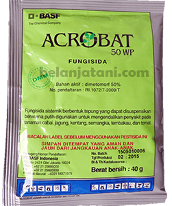 Meyediakan Obat Jamur Kubis Acrobat 50 WP Dengan Harga Murah Kualitas Terbaik | Belanja Tani Fungisida Sayur, Sayur,Kubis,Penyakit Jamur,Pestisida,Penyakit Layu