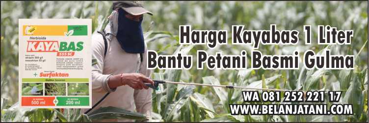 Harga Kayabas 1 Liter, Harga Kayabas, Kayabas Untuk Jagung,Obat Rumput Jagung,Herbisida Jagung Kayabas