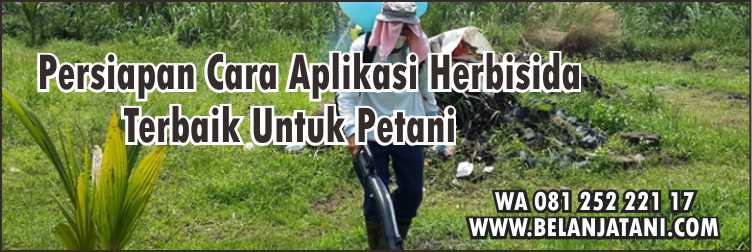 Cara Pemakaian Gramoxone,Herbisida, Racun Rumput Paling Kuat, Gulma, Rumput Liar