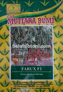 Menyediakan Benih Cabai Farux F1 Terbaru Harga Murah Kualitas Terbaik | Belanja Tani Tanam Cabai, Cara Menanam Cabai,Pohon Cabai,Harga Benih Cabai,Benih Cabai Hibrida