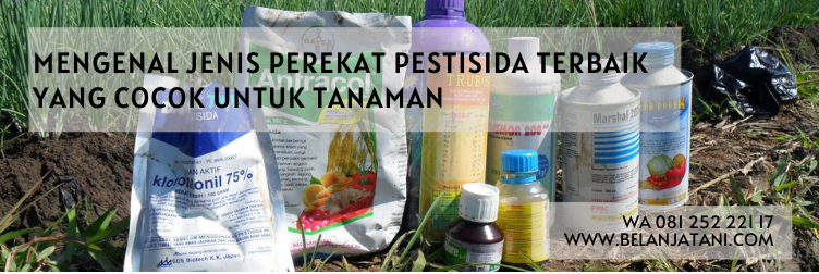 Perekat apsa, perekat pestisida alami, bahan perekat alami, perekat pestisida terbaik, penembus insektisida
