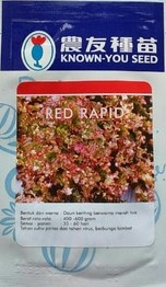 Jual Bibit Selada Kualitas Terbaik Harga Murah | Belanja Tani pertanian, petani, benih, budidaya, belanja tani