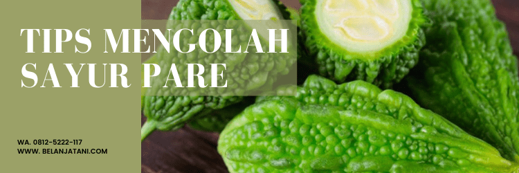 Buah pare, manfaat pare, khasiat pare, daun pare, bahaya pare