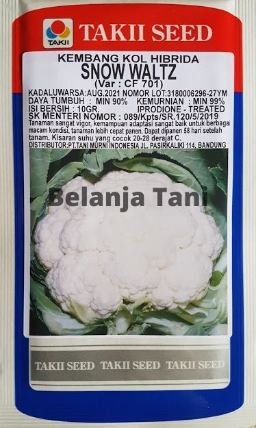 organik, benih, bibit, tanaman organik, dataran rendah