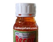 fungisida recor 250 ec, fungisida recor, fungisida sistemik recor, fungisida padi, fungisida musim hujan, fungisida padi bunting, bahan aktif recor, harga recor,pt msi, belanja tani