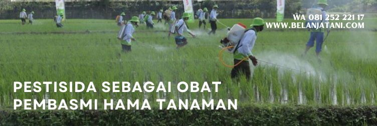 pestisida organik, pestisida nabati, penyakit tanaman, contoh hama, nama hama tanaman