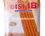 benih jagung bisi 18, harga bibit jagung bisi 18, cara membuat bibit jagung bisi 18, cara menanam jagung bisi 18 yang benar, bisi 18 bantuan pemerintah, harga benih jagung bisi 18, harga benih jagung bisi 18 5kg, kekurangan bisi 18, harga bibit jagung bisi 18 5 kg, benih jagung bisi terbaik, hasil panen jagung bisi 18 per hektar, hasil panen jagung bisi-18 per hektar, jagung hibrida bisi 18, bisi 18 kemasan 5 kg, bisi, bisi international, cap kapal terbang, toko pertanian, belanja tani