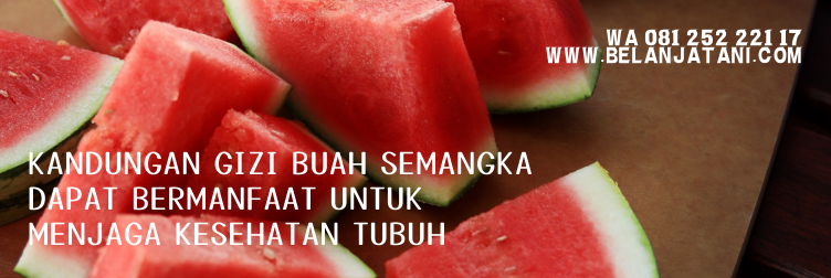 benih semangka terbaik, harga benih semangka, bibit semangka unggul, benih semangka unggulan, bibit semangka