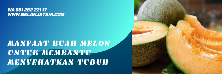 benih melon terbaik 2020, benih melon pertiwi, bibit melon, benih melon cap kapal terbang, harga benih melon pertiwi