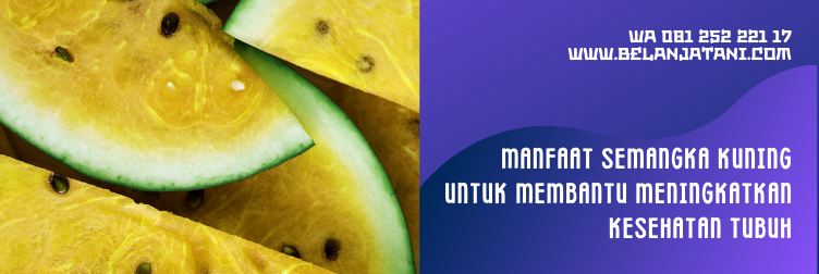 benih semangka inul kuning, benih semangka inul, harga bibit semangka inul, bibit semangka inul super, bibit semangka inul yang paling bagus