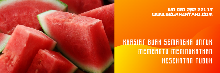 benih semangka unggul, bibit semangka unggul, benih semangka terbaik, harga benih semangka, bibit semangka super