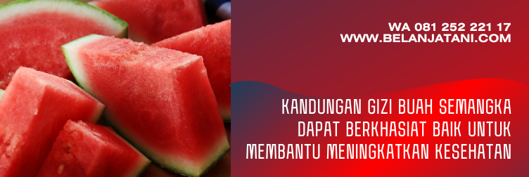 bibit semangka super, bibit semangka inul yang paling bagus, benih semangka inul, benih semangka inul terbaik, harga bibit semangka inul