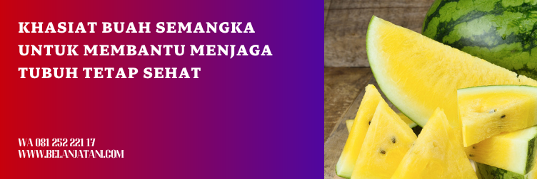 bibit semangka yang bagus, bibit semangka inul super besar, bibit semangka inul super, harga bibit semangka inul, benih semangka inul