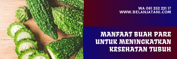 bibit pare unggul, harga bibit pare, bibit pare super, bibit pare panah merah, harga bibit pare panah merah