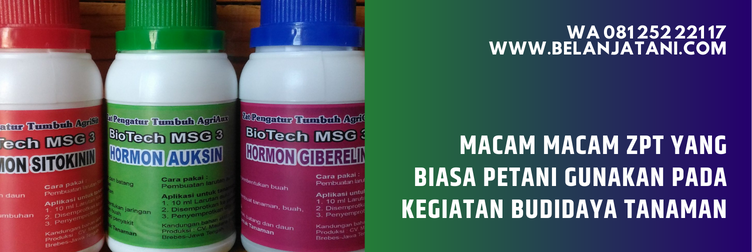 harga zpt hantu, pupuk hantu ratu biogen, pupuk hantu untuk cabe, cara menggunakan pupuk hantu untuk cabe, aplikasi pupuk hantu