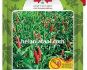 cabe pelita 8 f1, benih cabe pelita 8 f1, bibit cabe pelita 8 f1, cabe rawit merah pelita 8 f1, harga bibit cabe pelita 8 f1, cabe rawit hijau pelita 8 f1, cabe rawit hijau hibrida, perbedaan cabe rawit pelita f1 dan pelita 8 f1,cabe rawit, cabe rawit panah merah, panah merah, cap panah, bibit tanaman, belanja tani