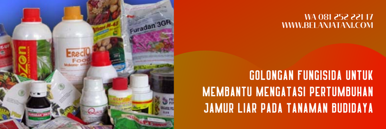 fungisida cabrio top, harga cabrio top, fungisida cabrio top untuk bawang merah, cabrio untuk padi, harga cabrio top 250 gram