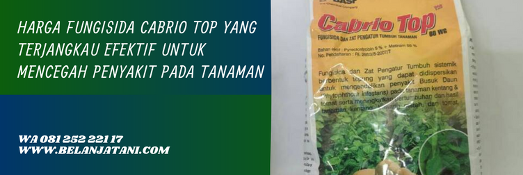 fungisida cabrio top, harga cabrio top, fungisida cabrio top untuk bawang merah, cabrio untuk padi, harga cabrio top 250 gram