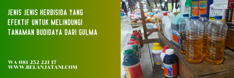 topshot herbisida, cara pemakaian herbisida topshot, cara aplikasi topshot, herbisida terbaik untuk padi, harga herbisida