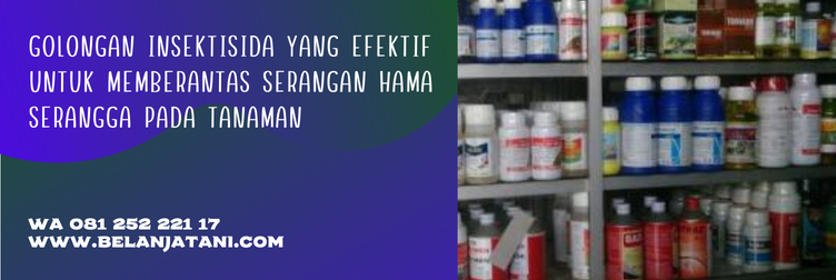 insektisida curacron 500ec, harga insektisida curacron, fungsi curacron, harga curacron 1 liter, curacron syngenta, curacron aturan pakai