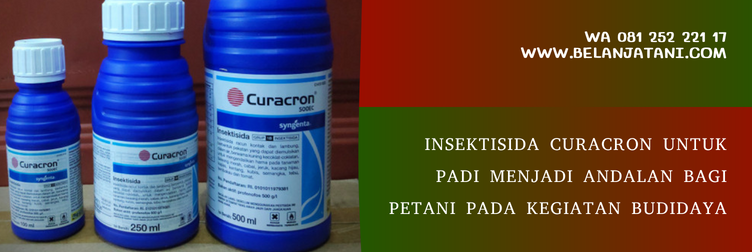 insektisida curacron 500ec, harga insektisida curacron, fungsi curacron, harga curacron 1 liter, curacron syngenta, curacron aturan pakai