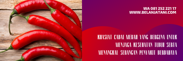 Jual Benih Cabe Yang Bagus Horison Berharga Murah Menghasilkan Panen Tinggi | Belanja Tani bibit cabe yang bagus, bibit cabai besar paling bagus, benih cabai merah unggul, bibit cabe merah besar, bibit cabe merah yg bagus